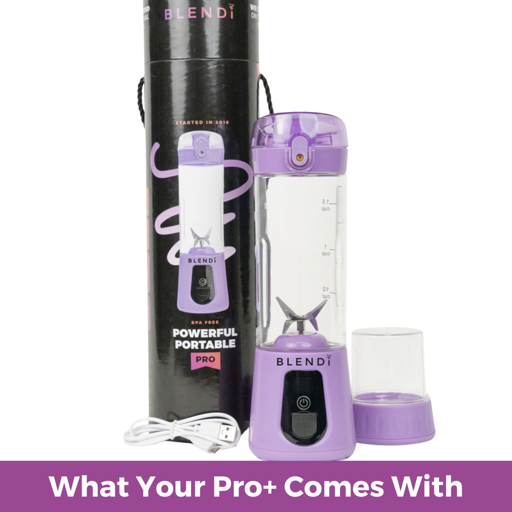 BLENDi Pro+ Portable Ice Crushing Blender – 17oz