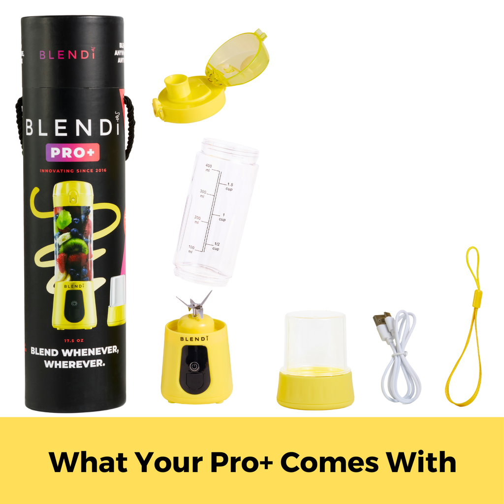 BLENDi Pro+ Portable Ice Crushing Blender – 17oz