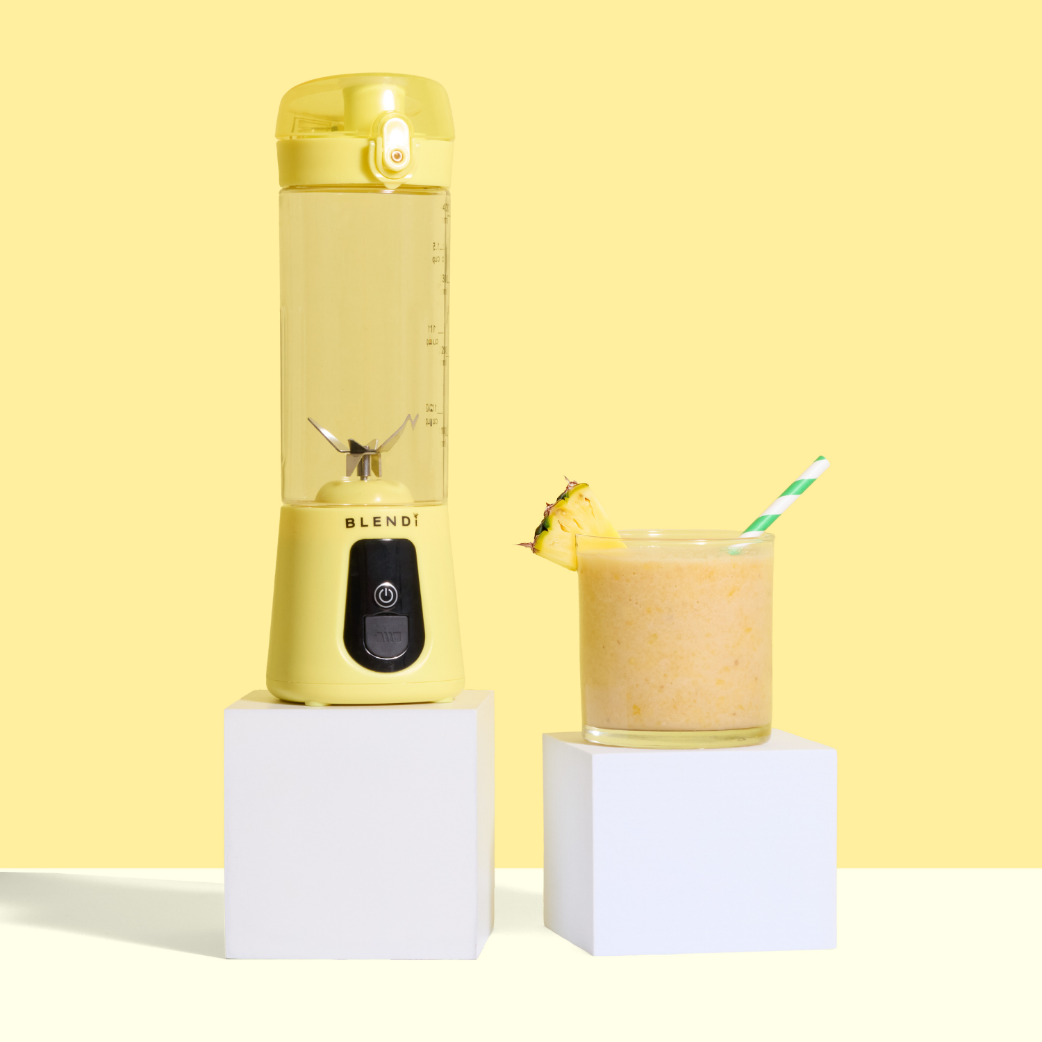 BLENDi Pro+ Portable Ice Crushing Blender – 17oz