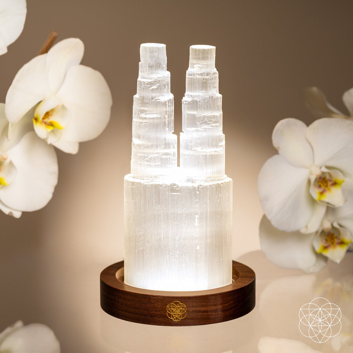 Two-Tower Selenite Lamp – Deep Energy Cleanse & Reset - view 2